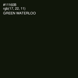 #11160B - Green Waterloo Color Image